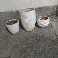گلدان