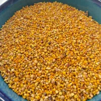 گرده گل (خاویار گیاهی) تازه