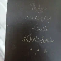 شناسنامه پیداشده