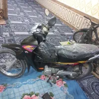 سالم شرط با مدرک کامل پلاک ملی
