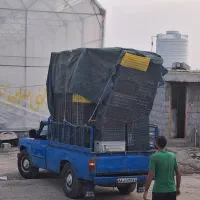 استخدام نیروی کار