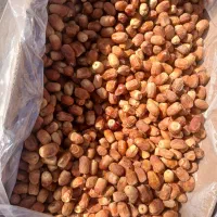 زاهدی درجه یک ۵تن موجود هست زاهدی رودفاریاب