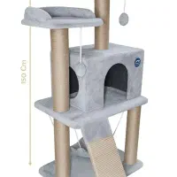اسکرچر و درخت گربه لینداپت