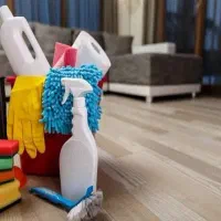 پرستار و رسیدگی به امور خانه