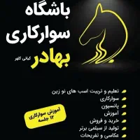 پانسیون vipاسب باتخفیف ویژه