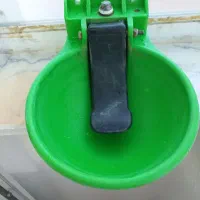آبشخور اسب