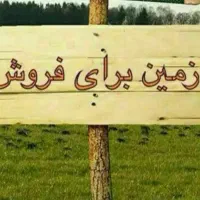 زمین