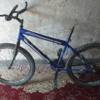 سالم چرخ متوسط زنجیل سالم