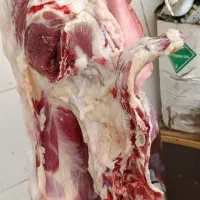 گوشت و کله پاچه و چرب روده