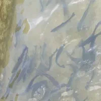 ماهی قزل الا