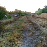 1450متر-دور-دیوار-سند-تک-برگ-داخل-بافت-بازمرگان