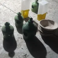 کفتر