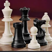 دعوت به همکاری مربی شطرنج کودک (خانم)