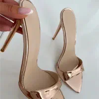 کفش مجلسی