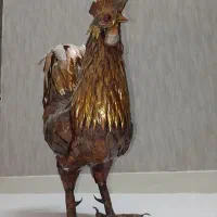 خروس مسی
