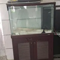 دو عدد آکواریم و تعداد ۳عدد صندلی چرخدار|صندلی و نیمکت|هشتگرد, |دیوار