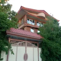 سبک سازی وشیروانی