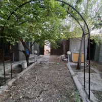 املاک تاج/باغ/نوبهار سند شش دانگ