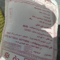آرد تازه گندم