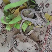 دو عدد کمربند ایمنی کار در ارتفاع
