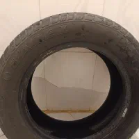 لاستیک ساینا