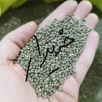 شاهدونه شاهدانه ریز