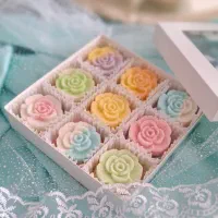 نبات رنگی طرح رز
