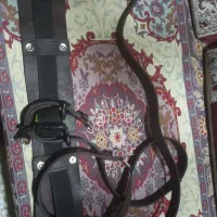 کمربند علم ( هیکلی)