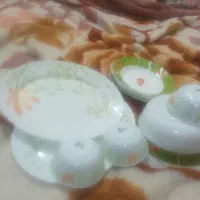سرویس ناهارخوری پذیرایی