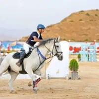 آموزش صفر تا صد سوارکاری