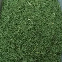 شوید خشک برگ اعلا