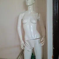 مانکن