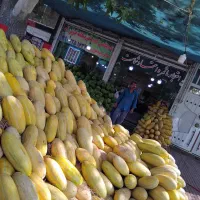 شراکت در میوه فروشی