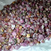 بارخونه یاقوت افغانستان
