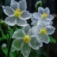 آموزش زبان انگلیسی