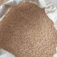گندم|لوازم جانبی حیوانات|نیشابور, گنبد سبز|دیوار