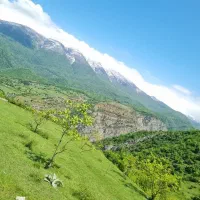زمین مسکونی در بام گیلان(سندتک‌برگ)