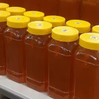عسل برای سوغاتی قیمت 350 تومان