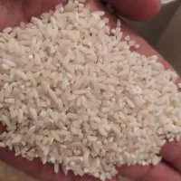 برنج سرلاشه هاشمی درجه یک معطر بدون ناخالصی