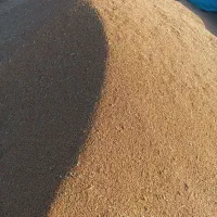فروش، ۵۰۰۰کیلو جو