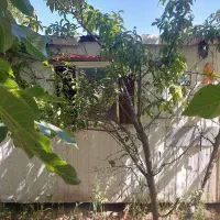 کانکس|مصالح و تجهیزات ساختمان|اندیشه, اندیشه فاز ۲|دیوار