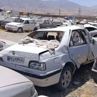 پارس تصادفی