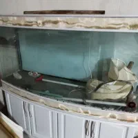 آکواریوم خم شرکتی