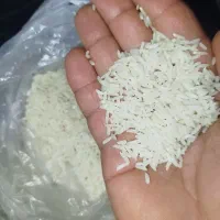 برنج هاشمی(سرد) سرتینگ شده