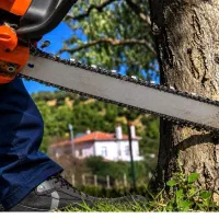 خریدار چوب مرکبات +بید کویتی +جنگلی