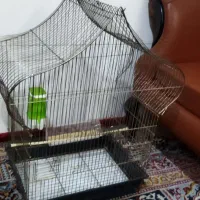 قفس پرنده