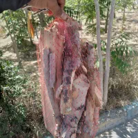 هیزم