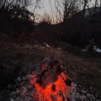 طبیعت