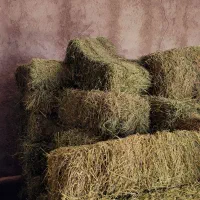 پرس یونجه خشک