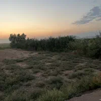 هزار متر زمین